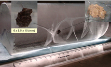 Крупное минеральное включение в керне озерного льда с глубины 3608 м